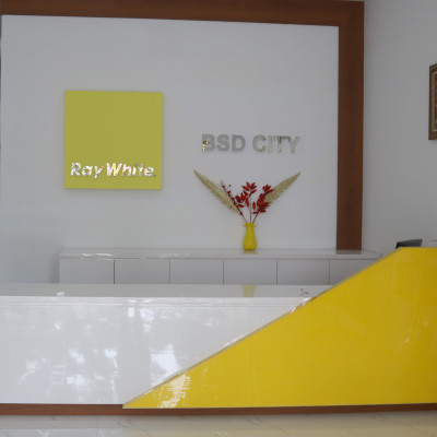 Ray White BSD City